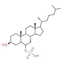 ChemSpider 2D Image | (3beta,9xi,14xi,17xi)-3-Hydroxycholestan-6-yl hydrogen sulfate | C27H48O5S
