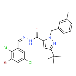ChemSpider 2D Image | N'-[(Z)-(3-Bromo-2,5-dichlorophenyl)methylene]-1-(3-methylbenzyl)-3-(2-methyl-2-propanyl)-1H-pyrazole-5-carbohydrazide | C23H23BrCl2N4O