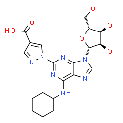 ChemSpider 2D Image | 2-(4-Carboxy-1H-pyrazol-1-yl)-N-cyclohexyladenosine | C20H25N7O6