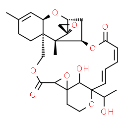 ChemSpider 2D Image | (7'R,12'R,14'R,16'S,17'R,20'Z,22'E)-28'-Hydroxy-24'-(1-hydroxyethyl)-10',16'-dimethyl-4'H,19'H-spiro[oxirane-2,15'-[2,5,13,18,25]pentaoxahexacyclo[22.3.1.1~14,17~.0~1,3~.0~7,12~.0~7,16~]nonacosa[10,20,22]triene]-4',19'-dione | C29H36O10