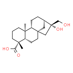 ChemSpider 2D Image | (5beta,8alpha,9beta,10alpha,16beta)-16,17-Dihydroxykauran-18-oic acid | C20H32O4