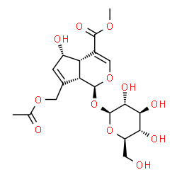 ChemSpider 2D Image | Methyl (1S,4aS,5S,7aS)-7-(acetoxymethyl)-1-(beta-D-glucopyranosyloxy)-5-hydroxy-1,4a,5,7a-tetrahydrocyclopenta[c]pyran-4-carboxylate | C19H26O12