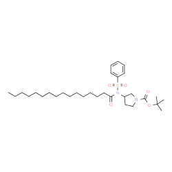 ChemSpider 2D Image | 2-Methyl-2-propanyl 3-[palmitoyl(phenylsulfonyl)amino]-1-pyrrolidinecarboxylate | C31H52N2O5S