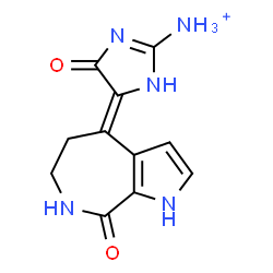 ChemSpider 2D Image | (4Z)-5-Oxo-4-(8-oxo-5,6,7,8-tetrahydropyrrolo[2,3-c]azepin-4(1H)-ylidene)-4,5-dihydro-1H-imidazol-2-aminium | C11H12N5O2