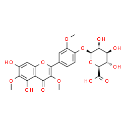 ChemSpider 2D Image | 4-(5,7-Dihydroxy-3,6-dimethoxy-4-oxo-4H-chromen-2-yl)-2-methoxyphenyl beta-D-glucopyranosiduronic acid | C24H24O14