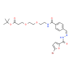 ChemSpider 2D Image | 2-Methyl-2-propanyl 3-(2-{2-[(4-{(Z)-[(5-bromo-2-furoyl)hydrazono]methyl}benzoyl)amino]ethoxy}ethoxy)propanoate | C24H30BrN3O7