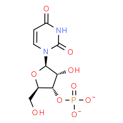 ChemSpider 2D Image | Uridine 3'-phosphate | C9H11N2O9P