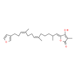 ChemSpider 2D Image | (5Z)-5-[(6Z,10Z)-13-(3-Furyl)-2,6,10-trimethyl-6,10-tridecadien-1-ylidene]-4-hydroxy-3-methyl-2(5H)-furanone | C25H34O4
