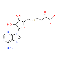 ChemSpider 2D Image | {[5-(6-Amino-9H-purin-9-yl)-3,4-dihydroxytetrahydro-2-furanyl]methyl}(3-carboxy-3-oxopropyl)methylsulfonium | C15H20N5O6S