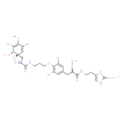 ChemSpider 2D Image | 4-(2-{[3-{3,5-Dibromo-4-[3-({[(5R,10S)-7,9-dibromo-10-hydroxy-8-methoxy-1-oxa-2-azaspiro[4.5]deca-2,6,8-trien-3-yl]carbonyl}amino)propoxy]phenyl}-2-(hydroxyimino)propanoyl]amino}ethyl)-1H-imidazol-2-a
minium | C27H30Br4N7O7