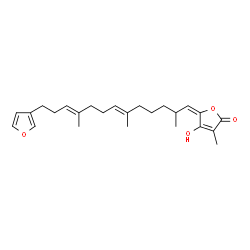 ChemSpider 2D Image | 5-(13-(3-Furanyl)-2,6,10-trimethyl-6,10-tridecadienylidene)-4-hydroxy-3-methyl-2(5H)-furanone | C25H34O4