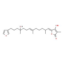ChemSpider 2D Image | (5Z)-5-[(6E)-13-(3-Furyl)-10-hydroxy-2,6,10-trimethyl-6-tridecen-1-ylidene]-4-hydroxy-3-methyl-2(5H)-furanone | C25H36O5
