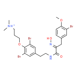 ChemSpider 2D Image | 3-[2,6-Dibromo-4-(2-{[(2E)-3-(3-bromo-4-methoxyphenyl)-2-(hydroxyimino)propanoyl]amino}ethyl)phenoxy]-N,N-dimethyl-1-propanaminium | C23H29Br3N3O4