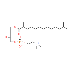 ChemSpider 2D Image | (2R)-3-[(2,12-Dimethyltridecanoyl)oxy]-2-hydroxypropyl 2-(trimethylammonio)ethyl phosphate | C23H48NO7P