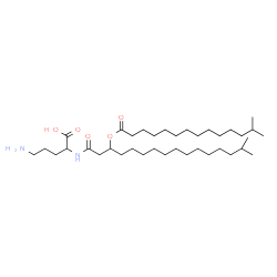 ChemSpider 2D Image | N~2~-{15-Methyl-3-[(13-methyltetradecanoyl)oxy]hexadecanoyl}ornithine | C37H72N2O5