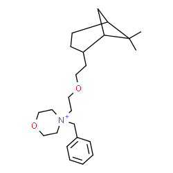 ChemSpider 2D Image | 4-Benzyl-4-{2-[2-(6,6-dimethylbicyclo[3.1.1]hept-2-yl)ethoxy]ethyl}morpholin-4-ium | C24H38NO2