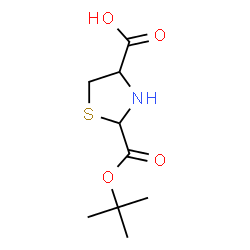 ChemSpider 2D Image | 2-(tert-Butoxycarbonyl)-1,3-thiazolidine-4-carboxylic acid | C9H15NO4S