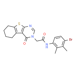 ChemSpider 2D Image | N-(4-Bromo-2,3-dimethylphenyl)-2-(4-oxo-5,6,7,8-tetrahydro[1]benzothieno[2,3-d]pyrimidin-3(4H)-yl)acetamide | C20H20BrN3O2S