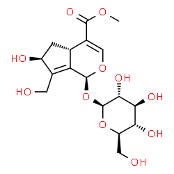 ChemSpider 2D Image | Methyl (1S,4aS,6S)-1-(beta-D-glucopyranosyloxy)-6-hydroxy-7-(hydroxymethyl)-1,4a,5,6-tetrahydrocyclopenta[c]pyran-4-carboxylate | C17H24O11