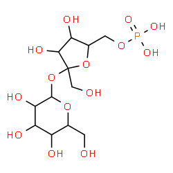 ChemSpider 2D Image | 6-O-Phosphonohex-2-ulofuranosyl hexopyranoside | C12H23O14P