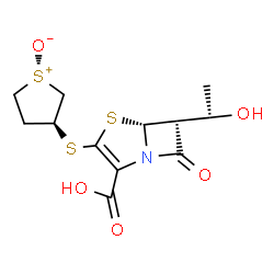 ChemSpider 2D Image | (3S)-3-{[(5R,6S)-2-Carboxy-6-(1-hydroxyethyl)-7-oxo-4-thia-1-azabicyclo[3.2.0]hept-2-en-3-yl]sulfanyl}tetrahydro-1-thiopheniumolate | C12H15NO5S3