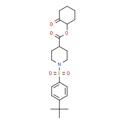 ChemSpider 2D Image | 2-Oxocyclohexyl 1-{[4-(2-methyl-2-propanyl)phenyl]sulfonyl}-4-piperidinecarboxylate | C22H31NO5S