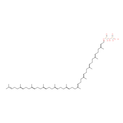 ChemSpider 2D Image | undecaprenyl diphosphate | C55H92O7P2