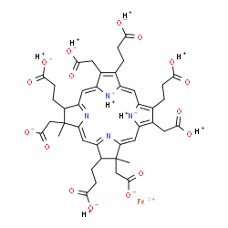 ChemSpider 2D Image | Iron(2+) hydrogen 3,3',3'',3'''-[3,8,12,18-tetrakis(carboxylatomethyl)-3,8-dimethyl-7,8-dihydro-2H,3H-porphine-23,24-diide-2,7,13,17-tetrayl]tetrapropanoate (1:8:1) | C42H44FeN4O16