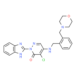 ChemSpider 2D Image | 2-(1H-Benzimidazol-2-yl)-4-chloro-5-{[2-(4-morpholinylmethyl)benzyl]amino}-3(2H)-pyridazinone | C23H23ClN6O2