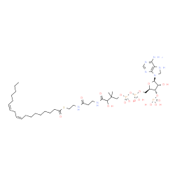 ChemSpider 2D Image | S-{1-[(2R,3S,4R,5R)-5-(6-Amino-7,8-dihydro-9H-purin-9-yl)-4-hydroxy-3-(phosphonooxy)tetrahydro-2-furanyl]-3,5,9-trihydroxy-8,8-dimethyl-3,5-dioxido-10,14-dioxo-2,4,6-trioxa-11,15-diaza-3lambda~5~,5lam
bda~5~-diphosphaheptadecan-17-yl} (9Z,12Z)-9,12-octadecadienethioate (non-preferred name) | C39H68N7O17P3S
