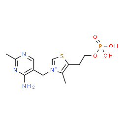 Thiamine Monophosphate C12h18n4o4ps Chemspider