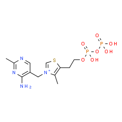 ChemSpider 2D Image | thiamine pyrophosphate | C12H19N4O7P2S