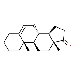ChemSpider 2D Image | (8alpha,9beta,10alpha,13alpha,14beta)-Androst-5-en-17-one | C19H28O