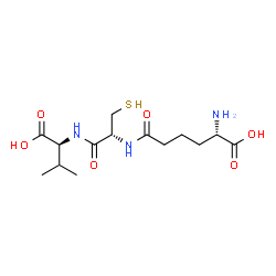 ChemSpider 2D Image | N-[(5S)-5-Amino-5-carboxypentanoyl]-L-cysteinyl-L-valine | C14H25N3O6S
