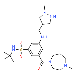 ChemSpider 2D Image | 3-[(4-Methyl-1,4-diazepan-1-yl)carbonyl]-N-(2-methyl-2-propanyl)-5-{[(1-methyl-4-pyrazolidinyl)methyl]amino}benzenesulfonamide | C22H38N6O3S