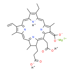 ChemSpider 2D Image | Magnesium hydrogen 3-[20-(carboxylatomethyl)-18-(dioxidomethylene)-13-ethyl-3,7,12,17-tetramethyl-8-vinyl-3,18-dihydro-2H-porphin-23-id-2-yl]propanoate (1:3:1) | C34H34MgN4O6