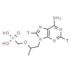ChemSpider 2D Image | [({1-[6-Amino(~3~H_2_)-9H-purin-9-yl]-2-propanyl}oxy)methyl]phosphonic acid | C9H12T2N5O4P
