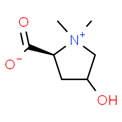 ChemSpider 2D Image | (2S)-4-Hydroxy-1,1-dimethyl-2-pyrrolidiniumcarboxylate | C7H13NO3