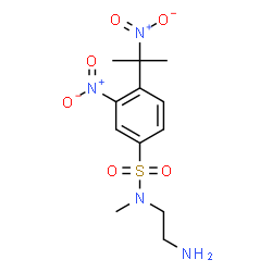 ChemSpider 2D Image | N-(2-Aminoethyl)-N-methyl-3-nitro-4-(2-nitro-2-propanyl)benzenesulfonamide | C12H18N4O6S