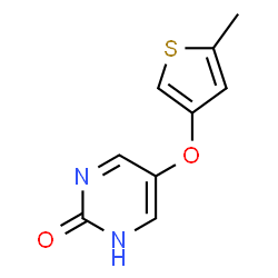 ChemSpider 2D Image | 5-[(5-Methyl-3-thienyl)oxy]-2(1H)-pyrimidinone | C9H8N2O2S