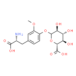 ChemSpider 2D Image | (2R,3R,4R,5S)-6-{4-[(2R)-2-Amino-2-carboxyethyl]-2-methoxyphenoxy}-3,4,5-trihydroxytetrahydro-2H-pyran-2-carboxylic acid (non-preferred name) | C16H21NO10