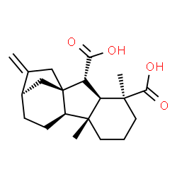 ChemSpider 2D Image | (1beta,4abeta,4balpha,9abeta,10alpha,10aalpha)-1,4a-Dimethyl-8-methylenegibbane-1,10-dicarboxylic acid | C20H28O4