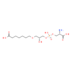 ChemSpider 2D Image | 7-[(2R)-3-({[(2S)-2-Amino-2-carboxyethoxy](hydroxy)phosphoryl}oxy)-2-hydroxypropoxy]heptanoic acid | C13H26NO10P