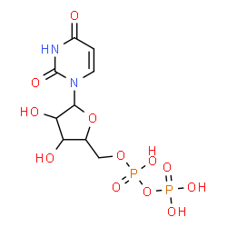 ChemSpider 2D Image | 1-{5-O-[Hydroxy(phosphonooxy)phosphoryl]pentofuranosyl}-2,4(1H,3H)-pyrimidinedione | C9H14N2O12P2