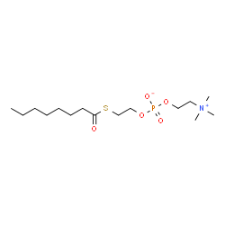 ChemSpider 2D Image | 2-(Octanoylsulfanyl)ethyl 2-(trimethylammonio)ethyl phosphate | C15H32NO5PS