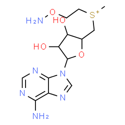 ChemSpider 2D Image | (2-AMINOOXY-ETHYL)-[5-(6-AMINO-PURIN-9-YL)-3,4-DIHYDROXY-TETRAHYDRO-FURAN-2-YLMETHYL]-METHYL-SULFONIUM | C13H21N6O4S