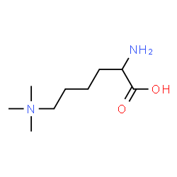 ChemSpider 2D Image | 2-amino-6-(trimethyl-$l^{4}-azanyl)hexanoic acid | C9H21N2O2