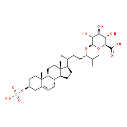 ChemSpider 2D Image | (3beta,24S)-3-(Sulfooxy)cholest-5-en-24-yl beta-D-glucopyranosiduronic acid | C33H54O11S