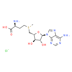 ChemSpider 2D Image | [(3S)-3-Amino-3-carboxypropyl]{[(2R,3R,4R,5R)-5-(6-amino-9H-purin-9-yl)-3,4-dihydroxytetrahydro-2-furanyl]methyl}methylsulfonium chloride (non-preferred name) | C15H23ClN6O5S
