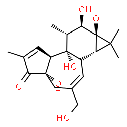 ChemSpider 2D Image | (1aS,1bR,4aS,7aS,7bS,8R,9R,9aR)-4a,7b,9,9a-Tetrahydroxy-3-(hydroxymethyl)-1,1,6,8-tetramethyl-1,1a,1b,4,4a,7a,7b,8,9,9a-decahydro-5H-cyclopropa[3,4]benzo[1,2-e]azulen-5-one | C20H28O6